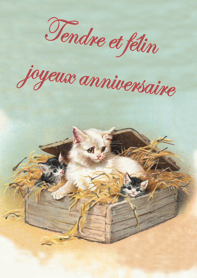 Carte anniversaire chat, envoyer cette carte tendre et 